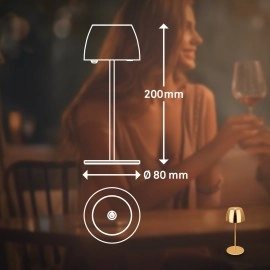 Akumulatora LED galda lampa SERINA Mini Ø80×200 mm 2,5W 150lm 2700K IP44 zelta krāsā (Briloner)