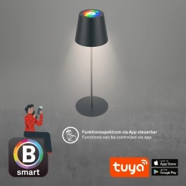 Smart LED akumulatora galda lampa Coloris 10,5×36 cm, 3,5 W, 280 lm, IP44, antracīts