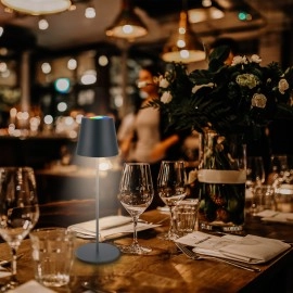 Smart LED akumulatora galda lampa Coloris 10,5×36 cm, 3,5 W, 280 lm, IP44, antracīts