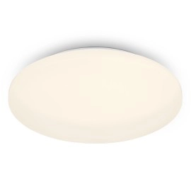 LED griestu lampa, 21W, 2200lm, IP44, balta
