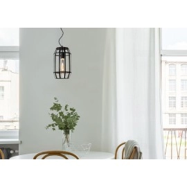 Griestu lampa "FERN", 1x E27 max. 60W, melna- stikls - metāls - LUCIDE - 25408/01/30