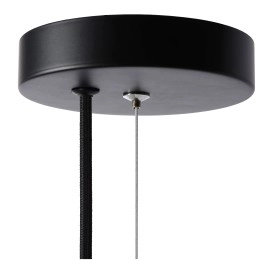 Griestu lampa "FERN", 1x E27 max. 60W, melna- stikls - metāls - LUCIDE - 25409/01/30