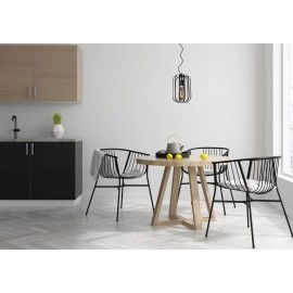 Griestu lampa "FERN", 1x E27 max. 60W, melna- stikls - metāls - LUCIDE - 25409/01/30