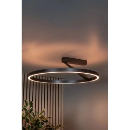 APPLAUSE griestu lampa Ø60 LED dimmējama CCT 1x40W pelēka dzelzs (Lucide)