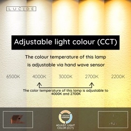 APPLAUSE piekaramā lampa Ø60 LED dimmējama CCT 1x32W pelēka dzelzs (Lucide)