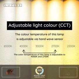 APPLAUSE piekaramā lampa Ø80 LED dimmējama CCT 1x50W kafijas brūna (Lucide)