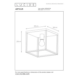 ARTHUR griestu lampa 25 cm 1xE27 melna / vara (Lucide)