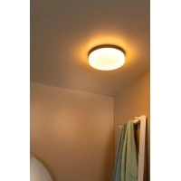BISKIT Vannas istabas griestu lampa ar sensoru 1x12W integrēts LED IP44 melna (Lucide)