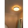 BISKIT Vannas istabas griestu lampa ar sensoru 1x12W integrēts LED IP44 melna (Lucide)
