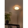 BISKIT Vannas istabas griestu lampa ar sensoru 1x12W integrēts LED IP44 balta (Lucide)