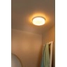 BISKIT vannas istabas griestu lampa Ø28 cm LED 1x18W 2700K IP44 ar kustības sensoru balta (Lucide)