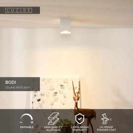 BODI griestu prožektors 8,2 cm 1xGU10 balta (Lucide)