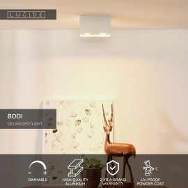 BODI griestu prožektors 16,5 cm 2xGU10 balta (Lucide)