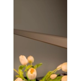BRAGA piekaramā lampa 150 cm LED 36W CCT kafijas krāsā (Lucide)