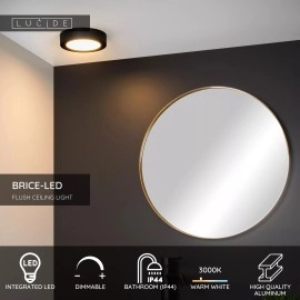 BRICE-LED vannas istabas griestu lampa Ø 18 cm LED dimmējama 12W 3000K IP44 melna (Lucide)