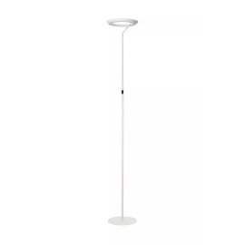 CELESTE LED stāvlampa Ø28 LED 21 W 2700K balta (Lucide)