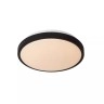 DASHER Vannas istabas griestu lampa ar sensoru 1x12W integrēts LED IP44 melna (Lucide)