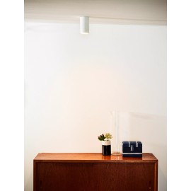 DELTO griestu prožektors Ø5,5 1 x 5 W GU10 dim-to-warm balts (Lucide)