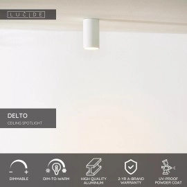 DELTO griestu prožektors Ø5,5 1 x 5 W GU10 dim-to-warm balts (Lucide)