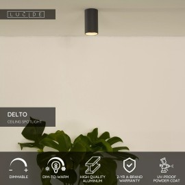 DELTO griestu prožektors Ø5,5 1 x 5 W GU10 dim-to-warm pelēks (Lucide)