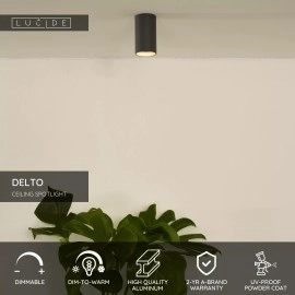 DELTO griestu prožektors Ø5,5 1 x 5 W GU10 dim-to-warm pelēks (Lucide)