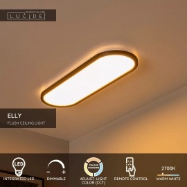 ELLY LED griestu gaismeklis 24 W 2700-4000 K opāla (Lucide)