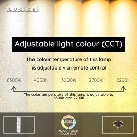 EVERINA Griestu lampa Ø40 cm 3x5W LED CCT 2200K/6500K melna (Lucide)