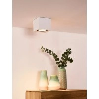 FEDLER griestu prožektors 12 x 12 cm 1 x 12 W GU10 ES111 dim-to-warm balts (Lucide)