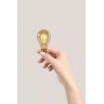 A60 filament LED spuldze E27 1 × 4,9 W 420 lm 2200 K dimmējama dzintara (Lucide)