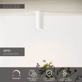 GIPSY griestu prožektors Ø7 cm 1x35W balta (Lucide)