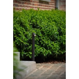 IBAMBA āra stabiņš LED 1×6W 3000K melna (Lucide)