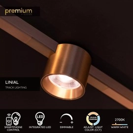 LINIAL LUX sliežu gaismeklis 1x8W LED šampanieša krāsā (Lucide)