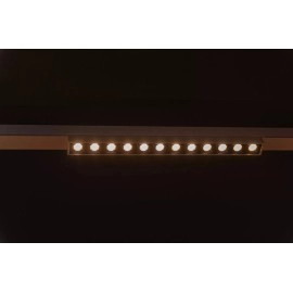 LINIAL XENIA sliežu prožektors LED 10 W šampanieša krāsā (Lucide)