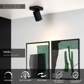 NIGEL griestu prožektors 1x5w melna (Lucide)