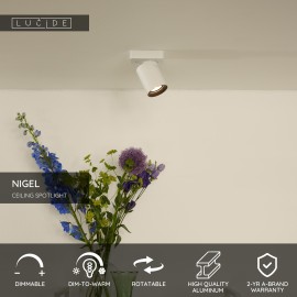 NIGEL griestu prožektors 1x5w balta (Lucide)