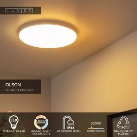 OLSON vannas istabas griestu lampa Ø35 cm LED CCT 36W opāla (Lucide)