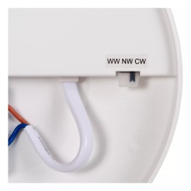 OLSON vannas istabas griestu lampa Ø45 cm LED CCT 45W opāla (Lucide)