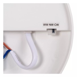 OLSON vannas istabas griestu lampa Ø45 cm LED CCT 45W opāla (Lucide)