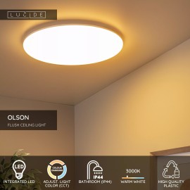 OLSON vannas istabas griestu lampa Ø45 cm LED CCT 45W opāla (Lucide)