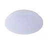 OTIS griestu lampa Ø26 cm LED 1x14W 3000K opāla (Lucide)