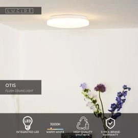 OTIS griestu lampa Ø26 cm LED 1x14W 3000K opāla (Lucide)