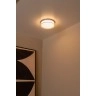 PLANO vannas istabas griestu lampa Ø23 cm LED dimmējama 11W opāla (Lucide)