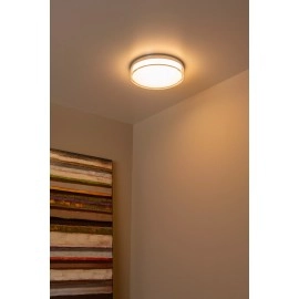 PLANO vannas istabas griestu lampa Ø28 cm LED dimmējama 16W opāla (Lucide)