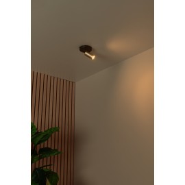 RITMO griestu prožektors 1xGU10 (MR11) matēts zelts / misiņš (Lucide)