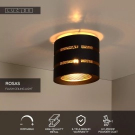 ROSAS griestu lampa Ø26 cm 1xE27 melna (Lucide)