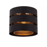 ROSAS griestu lampa Ø26 cm 1xE27 melna (Lucide)