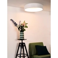 TALOWE LED griestu lampa Ø60 cm LED 42 W balta (Lucide)