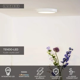 TENDO-LED apaļa griestu lampa Ø22 cm 1 x 18 W Integrated LED 3000K balta (Lucide)