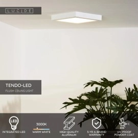 TENDO-LED kvadrātveida griestu lampa 22×22 cm 1 x 18 W Integrated LED 3000K balta (Lucide)