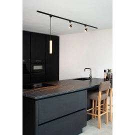 TRACK FLORIS sliežu piekaramā lampa 1xGU10 matēts zelta / misiņa (Lucide)